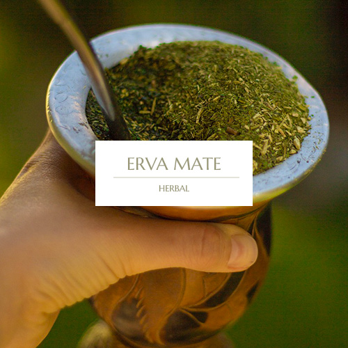 ERVA MATE